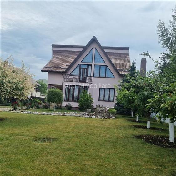 Vila de vanzare 200 mp cu anexe 40 mp si teren 1600 mp - 4