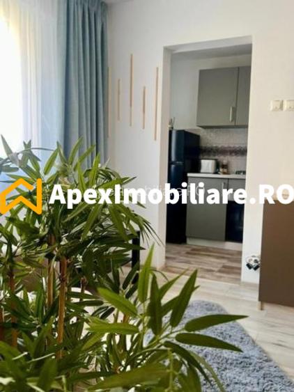 Garsoniera de inchiriat Teiul Doamnei București | ApexImobiliare.ro - 3