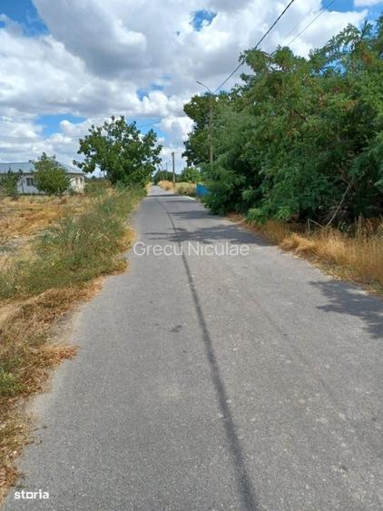 Vând teren intravilan – Crivăț, Călărași - 12