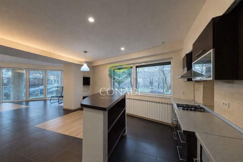 Pretabil Birou | Cabinet Notarial | Avocatura | View Lacul Herastrau - 5