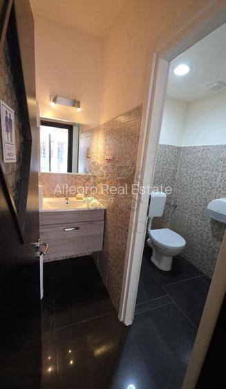 Dorobanti | Vila Individuala | 7 camere | Terasa - 13