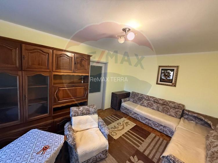 Chirie Pet Friendly apartament 2 camere Caragiale - 4