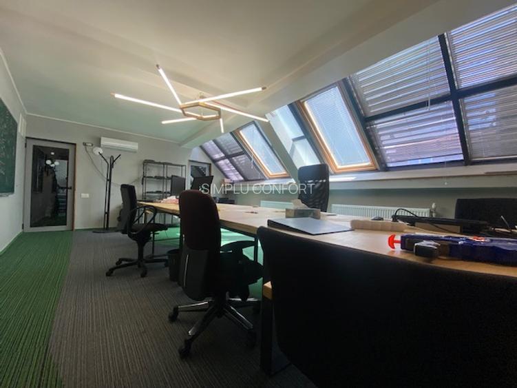 Cismigiu-Mircea Vulcanescu - 6