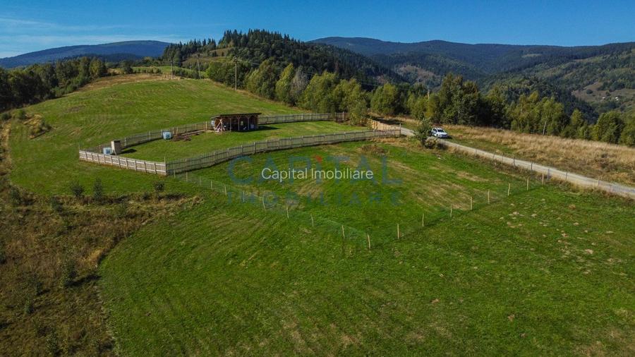 Comision 0% teren intravilan 1000 mp, PUZ, priveliste, Baisoara - 6