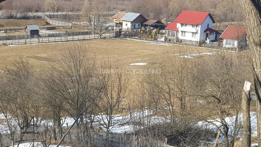 Teren de 10200mp,intravilan , cu deschidere la asfalt - 2