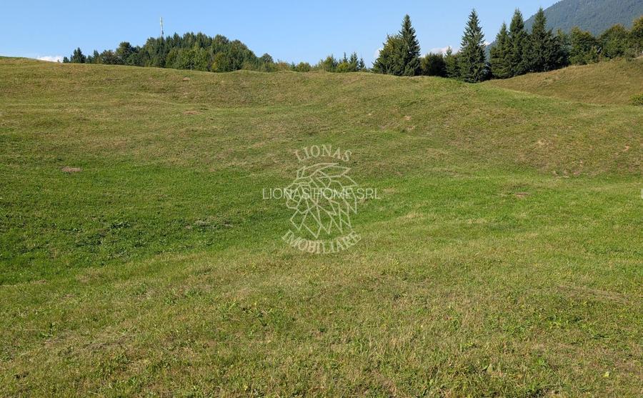 Oportunitate!Teren intravilan 61.38400mp-Parcelabil-utilitati-Colibita - 6