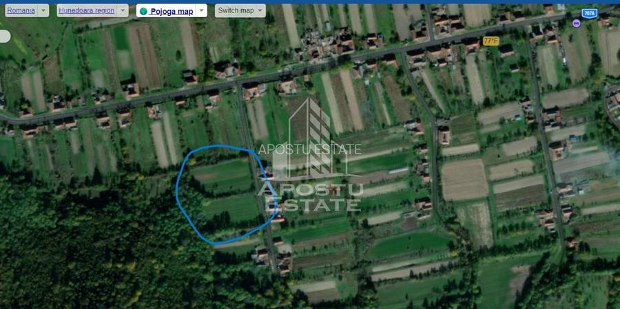 Teren intravilan, partial imprejmuit, eligibil grant- Pojoga, com. Zam - 11