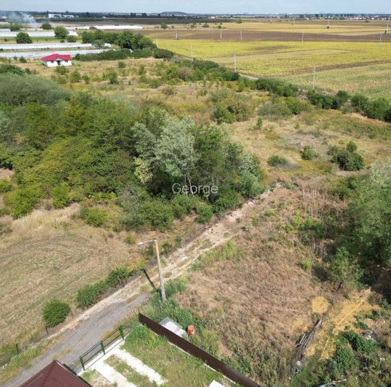 Teren intravilan 650 mp, utilități  - 7