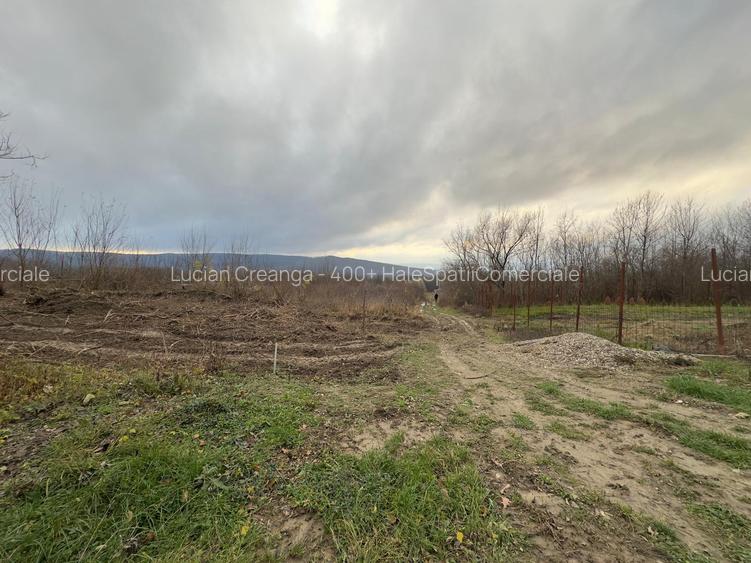 Teren parcele, de la 748mp la 3024mp, Barnova Sf. Ap. Petru - 13