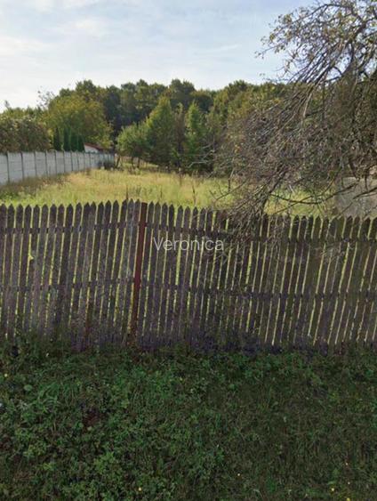 Vand teren agricol si de constructi  - 3