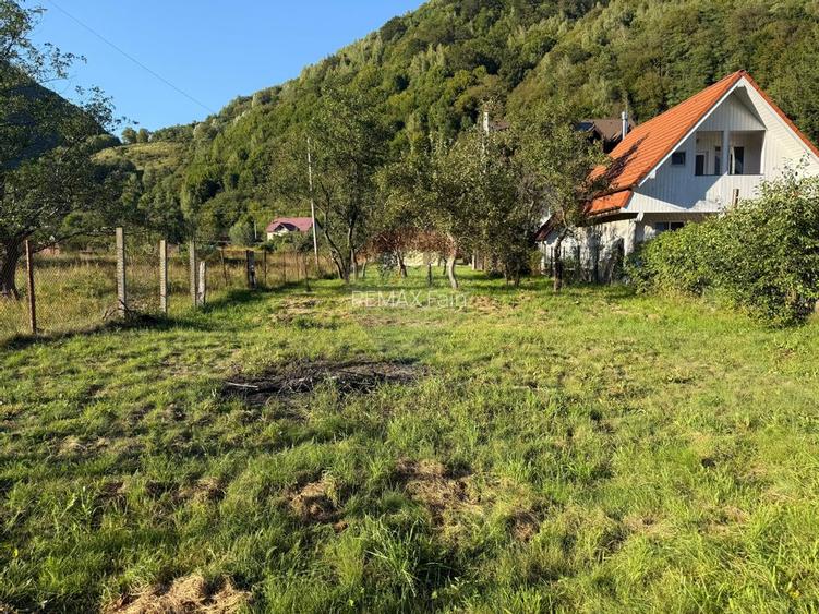 Casa de vacanta de vanzare pe Valea Lotrioarei - 6