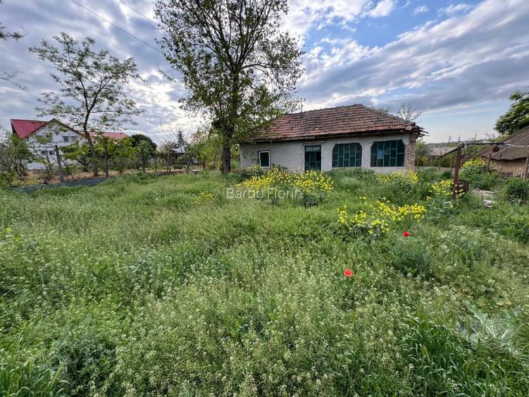 Casa  (30 min de Bucuresti) în Tamadau (lângă lacul Mostistea) cu teren 850 m - 7