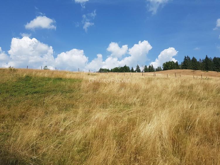 ! Ocazie! Teren extravilan, comuna Arieseni - 8