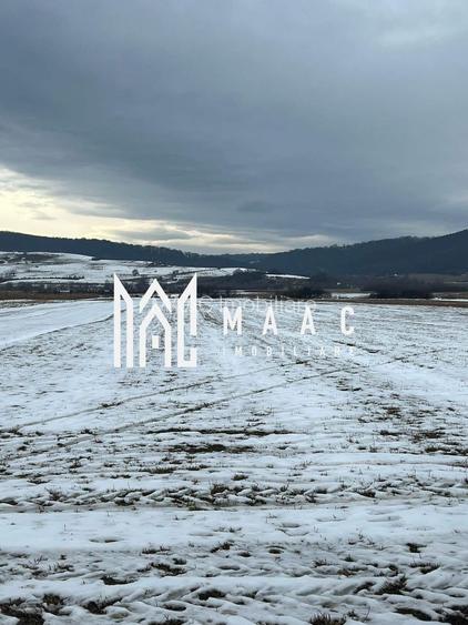 Teren | Extravilan | Oportunitate Investiție | 10 000 MP | Bradu - 3