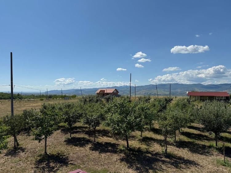 Cabana de lemn, 2 camere, teren 850 mp, livada, Oarda, Alba Iulia - 3