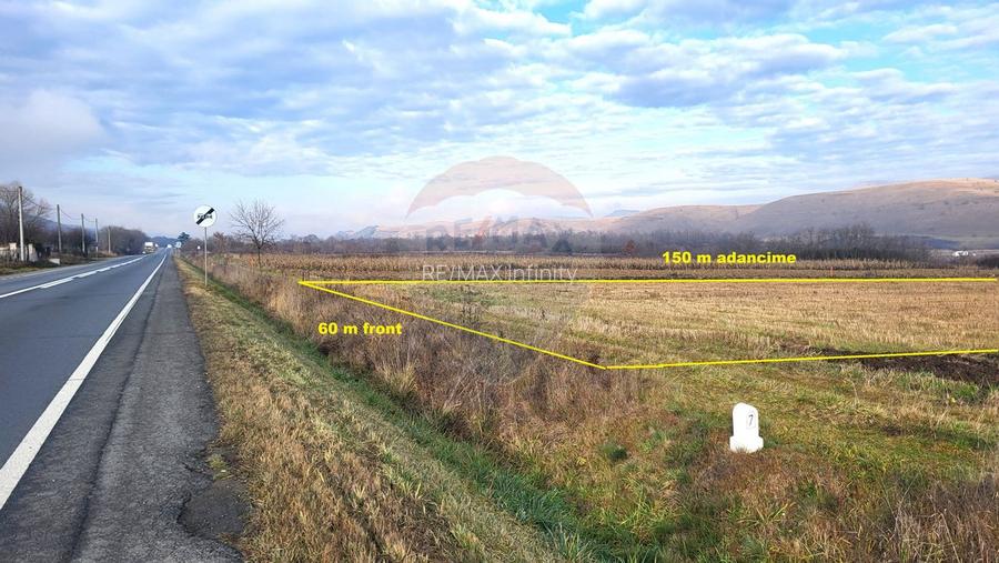 Teren industrial 9.000 mp Gilau Front la DN1 E60 Acces TIR - 5