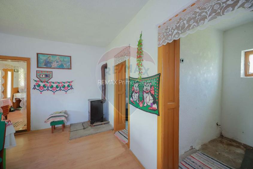 De vânzare casă cu teren și pădure 55706 mp - Șinteu, Valea Târnei - 11