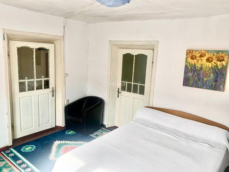 Potențial pensiune / investiție / casa de vacanță  - 8