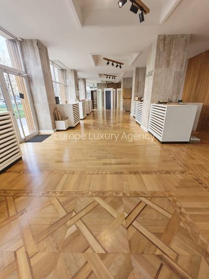 SPATIU COMERCIAL PREMIUM – 267 MP – VAD EXCEPTIONAL - 3