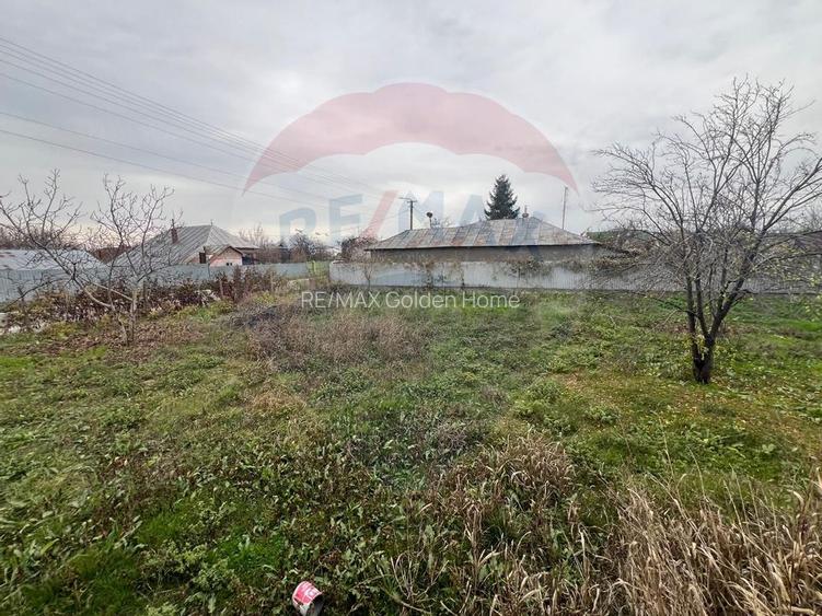 Casa 4 camere Rachitosu - 14