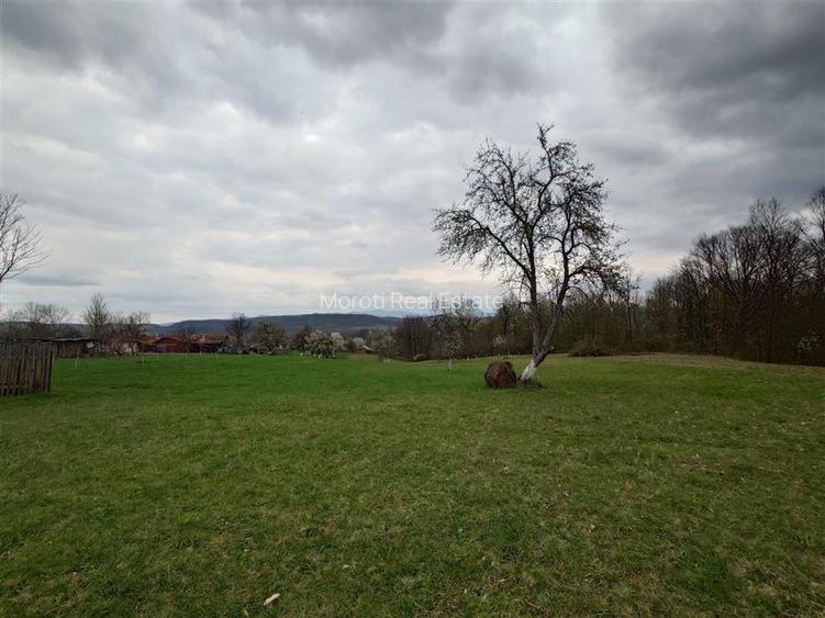 10 000 mp teren intravilan cu priveliste - 12