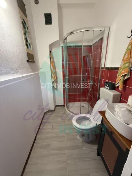 Casa singura in curte intre Calea Calarasilor si Pache Protopopescu - 12