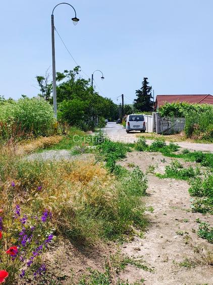 Intravilan 420m2 pe partea dreaptă  - 5