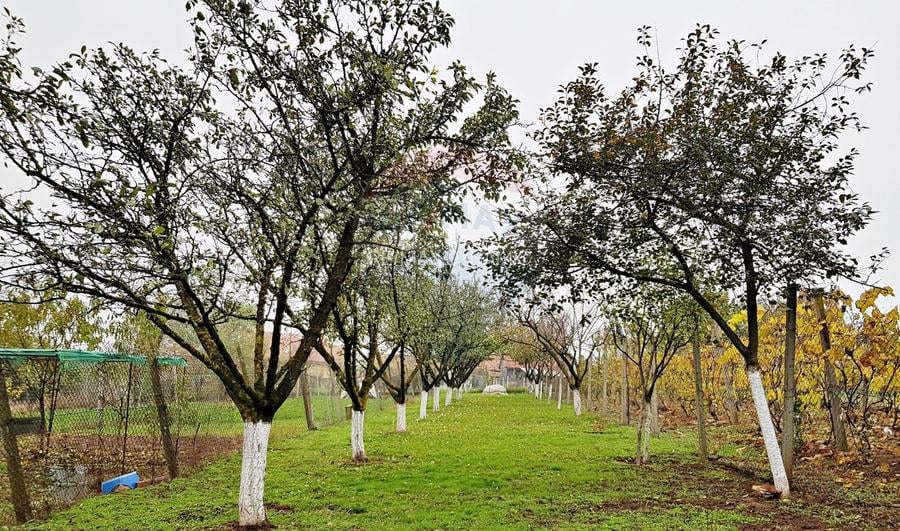 Casă / Vilă cu 6 camere de vânzare - 20