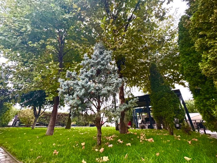 Vilă modernă cu piscină, eficiență energetică ridicată, teren 631 mp – Berceni,  - 11