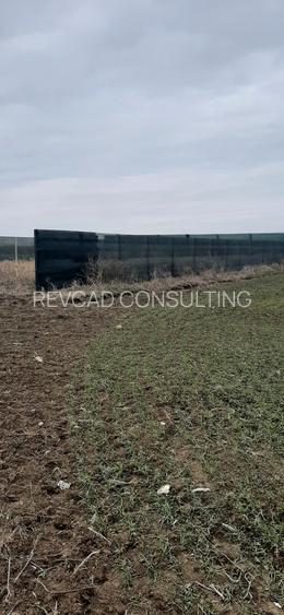 Teren in Lazu de 400 mp - Intravilan - 2