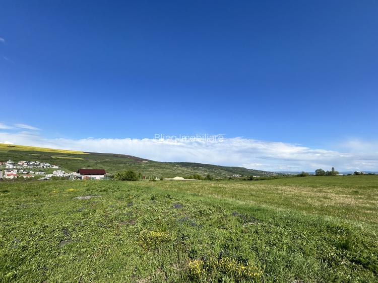 Teren Valea Chintaului / Cluj 5.547mp  parcelabil  - 6