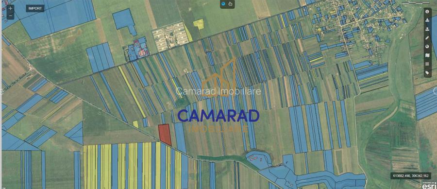 Teren de vanzare- deschidere DN4 138 m  -  Budesti, sat Gruiu - Calarasi - 7