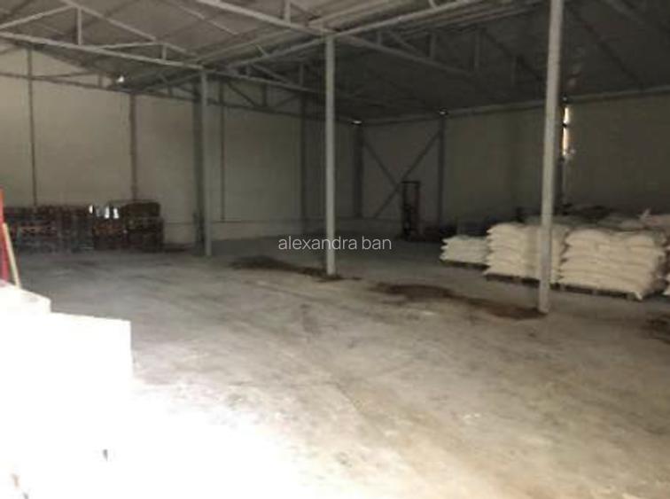 Moară cereale 50 t/zi + afacere funcțională | teren + hale | Bihor - 3