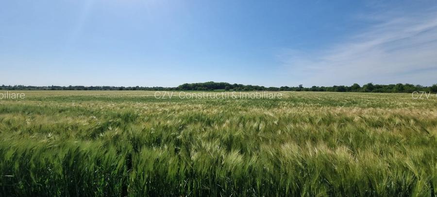 Ferma de Cultura Mare 1100 HA - 3