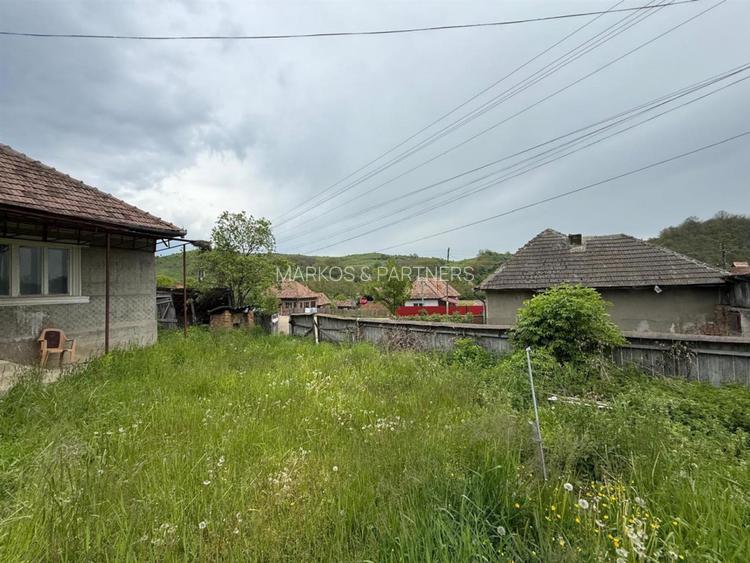 Casa la tara l teren 6600 MP l Aschileu Mare - 7