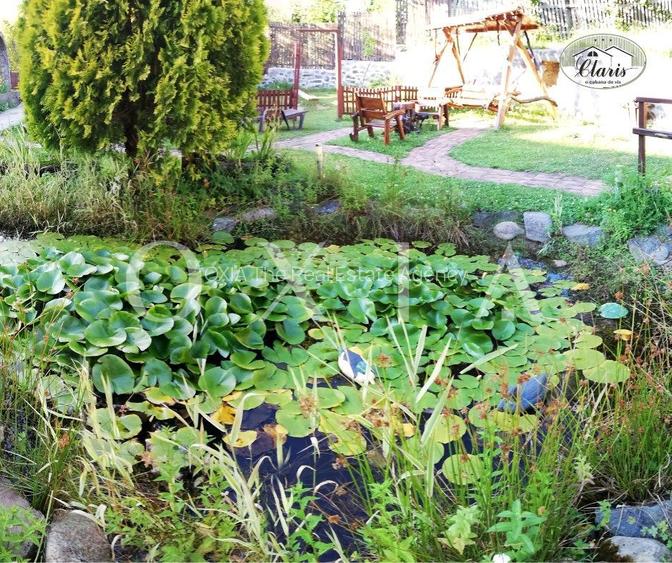 SX475 Valiug- Oportunitate de investitie in turismul montan! - 10