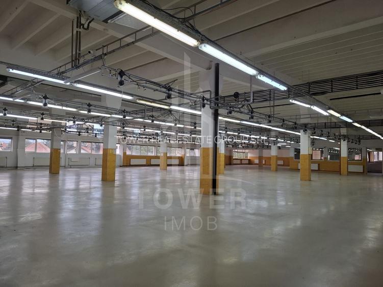 Hală de producție / depozitare – 1.300 mp utili, etaj 1, zona centrala - 13