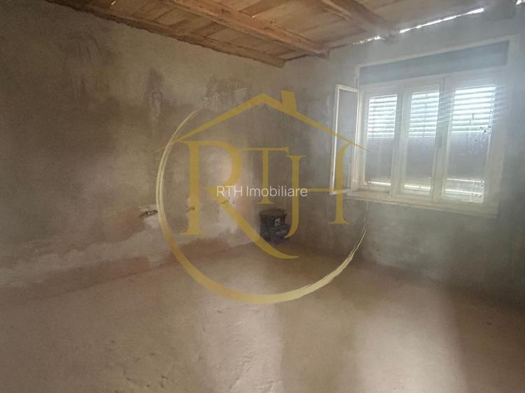 Casa plus teren de vânzare în Balinț,comision ,,0'' - 5