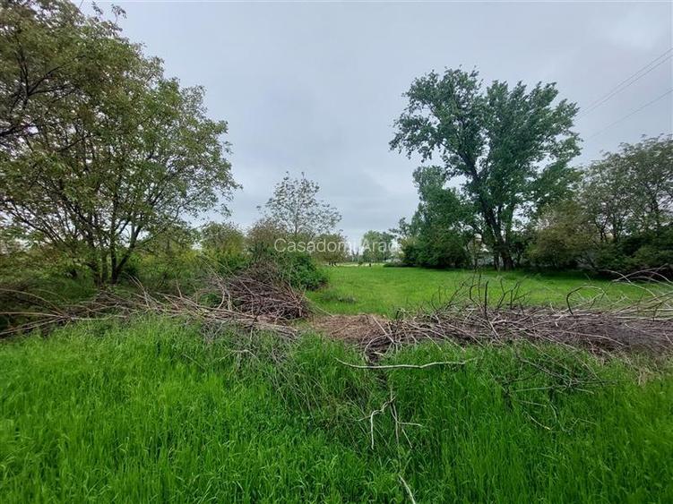 Teren intravilan cu potential multiplu! - 8