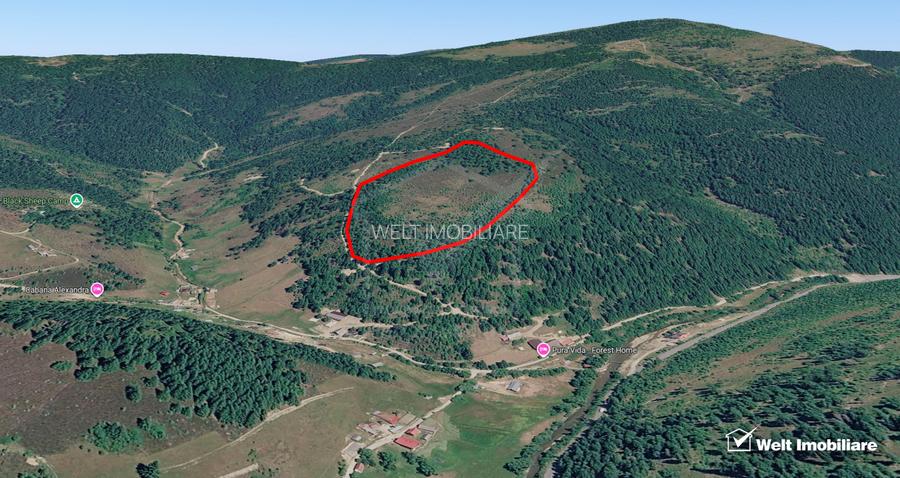 Eco Retreat Land in Apuseni Romania - Poiana Horea - 3