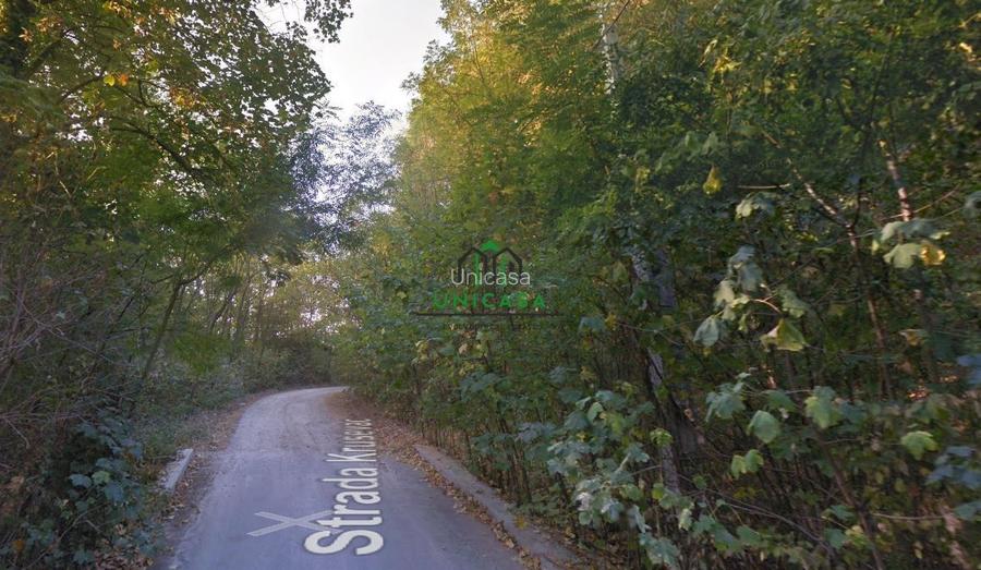 Teren Ramnicu Valcea / 28 Ha - 3