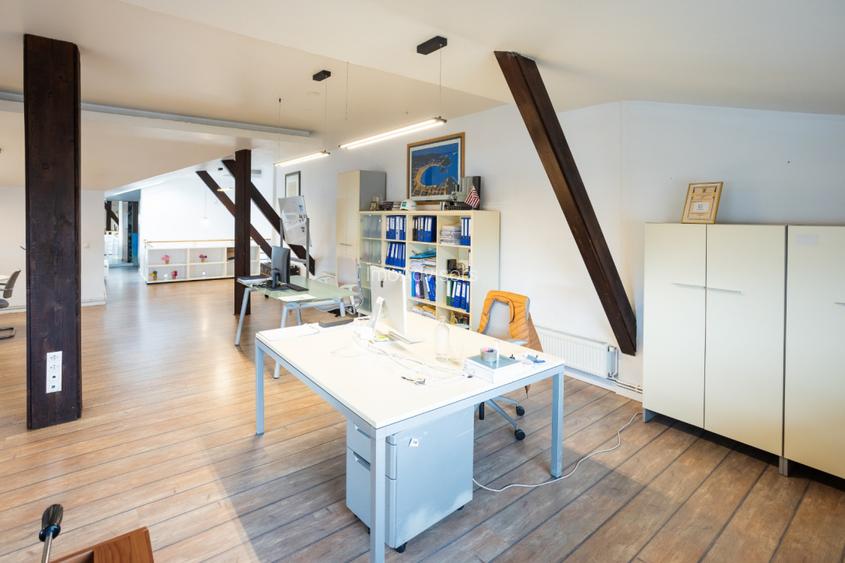 DOMENII-SPATII GENEROASE-DISPONIBIL IMEDIAT - 13