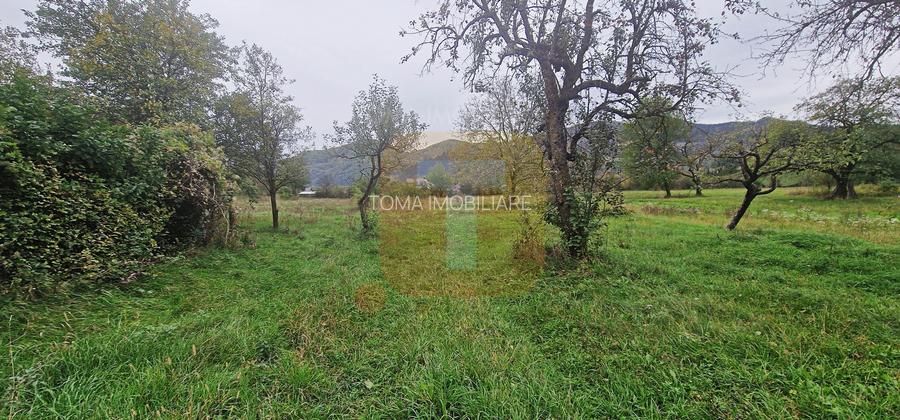 Teren intravilan de vânzare – 1.350 mp – Comuna Alexandru cel Bun - 3