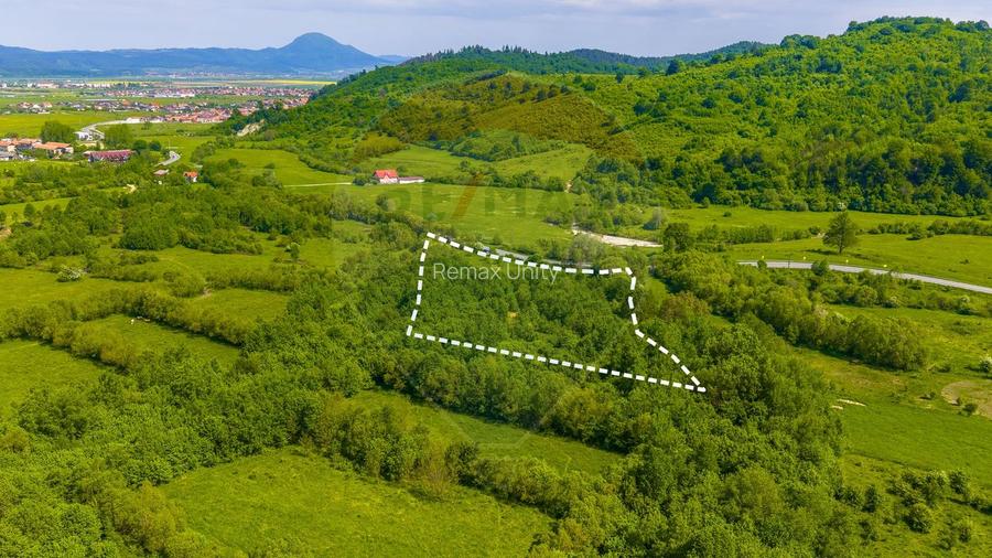 Teren 1ha Valea Glăjeriei - Rasnov | Comision 0% - 3