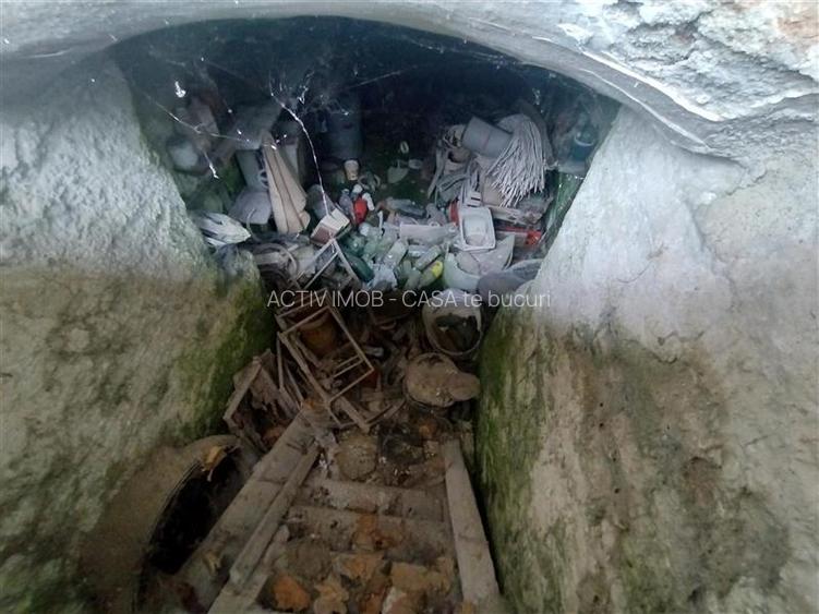 Iecea Mare - Timis, Casa cu Gradina, 1800mp Teren, Pret Negociabil - 24