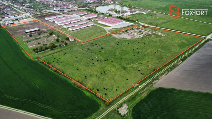 Teren intravilan cu suprafata de 58.340 mp, in Sanmartinul Sarbesc