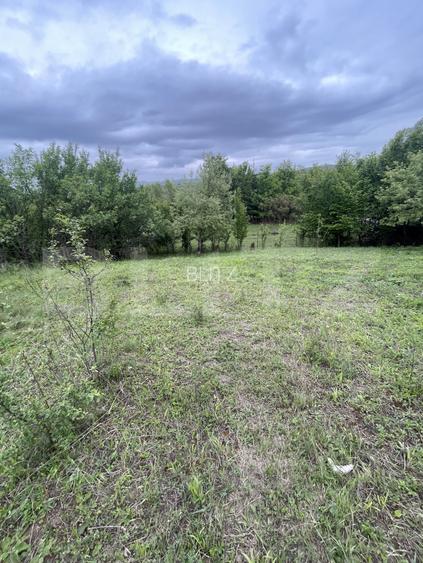 Teren extravilan 5200 mp – Budacul de Jos-  Investiție excelentă! - 3