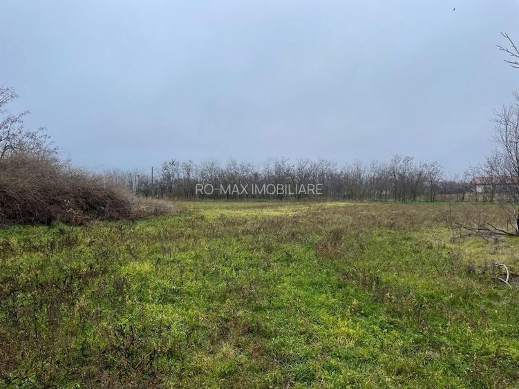 Teren intravilan 3367 mp cu casa demolabile 54 mp puț existent! - 2