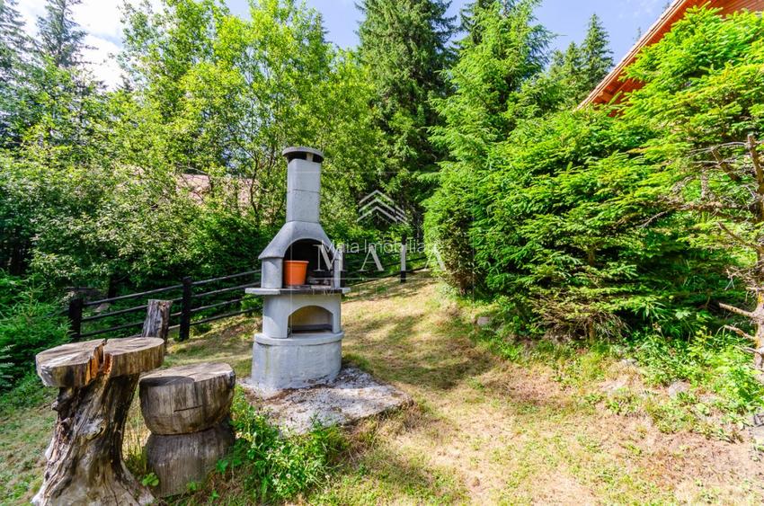 Casa 3 camere, 840 mp teren care include padure, Paltinis - 4