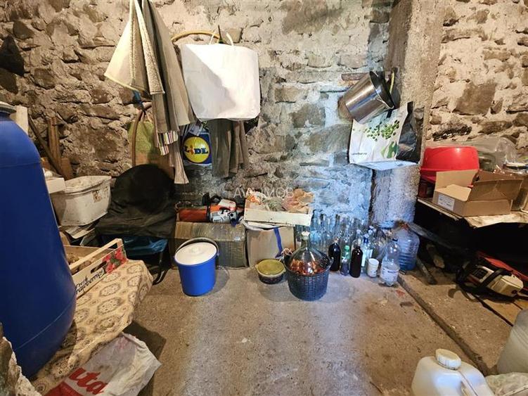 Casa spatioasa de vanzare in centrul satului Racaciuni – teren generos, livada, - 19